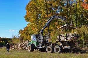 A logger empties and stacks wood in a sunny field in Mackinac County.