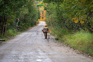 Hunter and dog walking on a forest road
