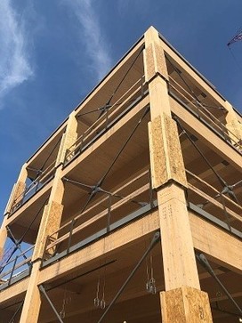 A mass timber building 