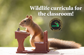 wildlife classroom curricula image