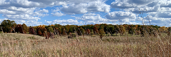 highland grassland with fall colors