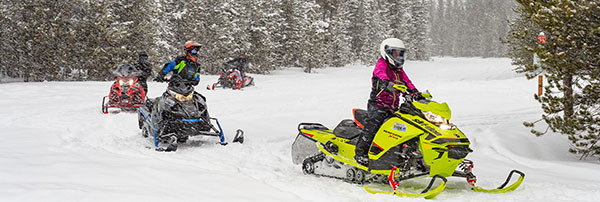 four snowmobilers riding a trail