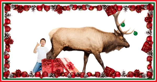 A child giving a thumbs up as an elk emerges from his Christmas box. 
