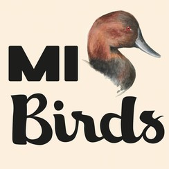 Mi Birds logo