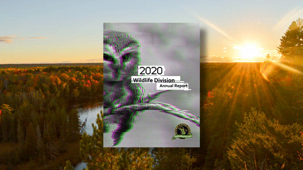 DNR Wildlife Annual Report