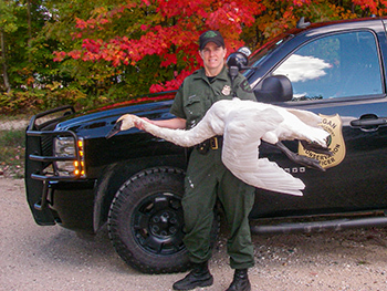 Michigan Conservation Officer Andrea Erratt is pictured with a dead trumpeter swan confiscated by officers.