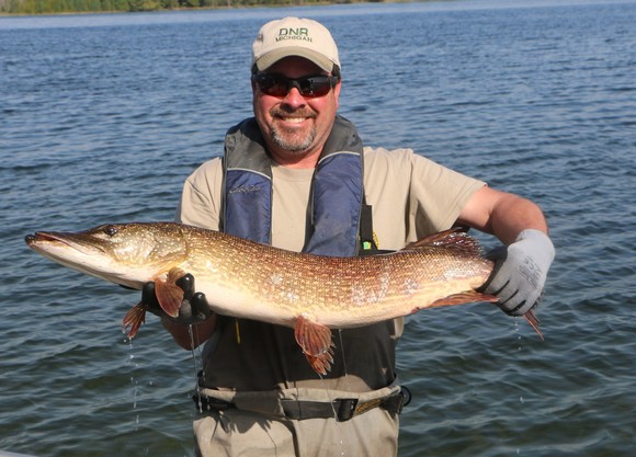 Department of Natural Resources employee holding a northern pike