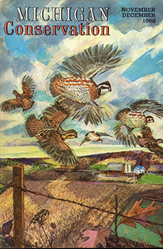 The cover of the November-December 1968 issue of Michigan Conservation is shown.