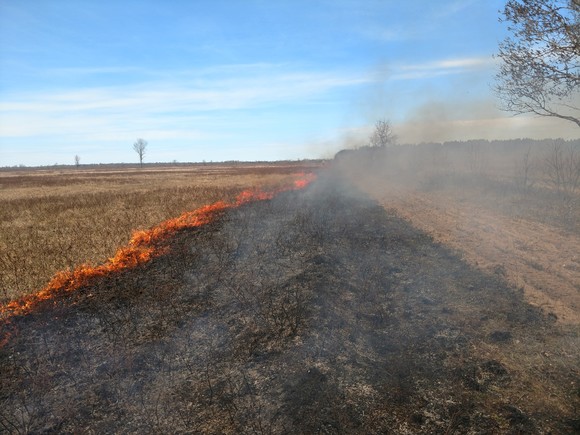 fletch grassland complex