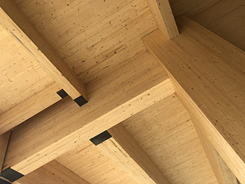 Mass timber used in construction is shown.