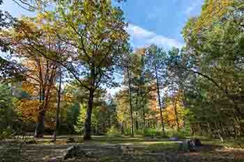 Autumn is about to fall on the Pickerel Lake State Forest Campground in the Pigeon River Country in northern Lower Michigan.