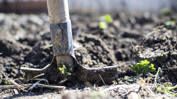 Closeup image of a shovel in the ground