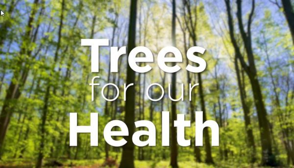 Trees for our health