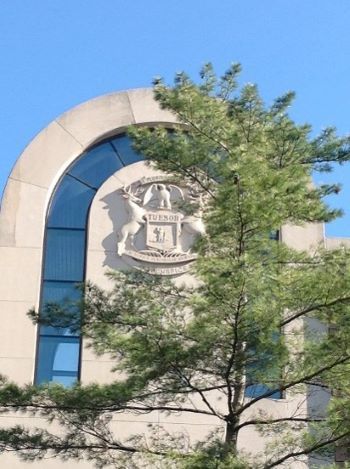 A conifer tree in front of the Michigan state seal