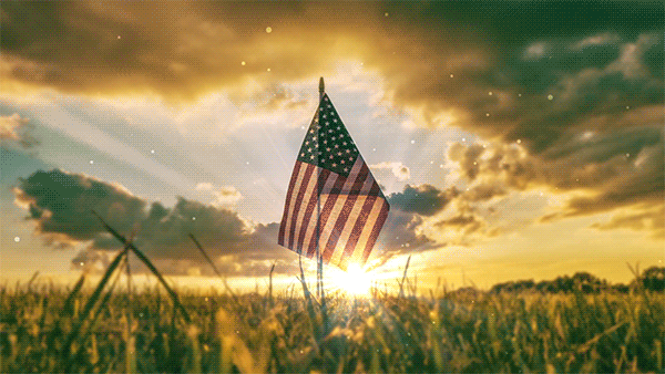 animation of an American flag in a field with the sun sparkling behind it