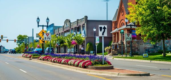 Young trees in a boulevard and colorful landscaping brighten a busy urban street.