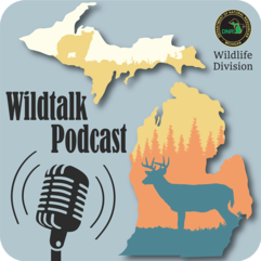 image of the DNR's Wildtalk podcast logo