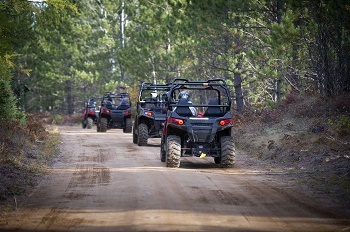 view of a single-file row of off-road vehicles, driven by people wearing helmets, heading away from the camera, on a tree-lined trail