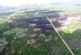 An aerial scene from the Colfax Fire in Wexford County showing a column of smoke and burned earth surrounded by roads and grass.
