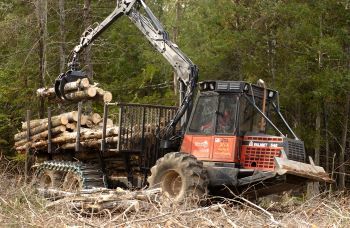 A machine with a claw is used to pick up cut aspen logs