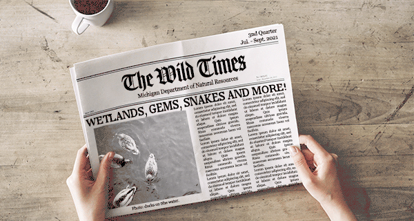An image of a newspaper titled The Wild Times and a subheading of Wetlands, Gems, Snakes and more! with an animated image of ducks swimming.
