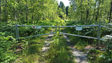 A gated two track walking trail through the woods at the Little Betsie GEMs site.