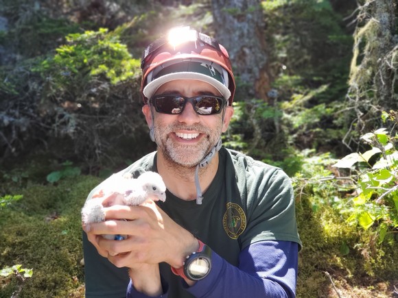Wildlife biologist John DePue holding a peregrine falcon chick dressed in a DNR shirt and hard hat with forest habitat in the background