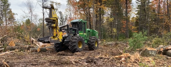 A large piece of machinery moved harvested timber across a clearing in the forest. 