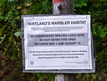 A sign is posted at the edge of Kirtland's warbler habitat, urging people to avoid the area.