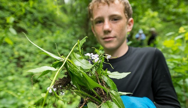 head and shoulders view of a red-haired boy wearing blue gloves, holding a bunch of green, weedy plants, in a forested area