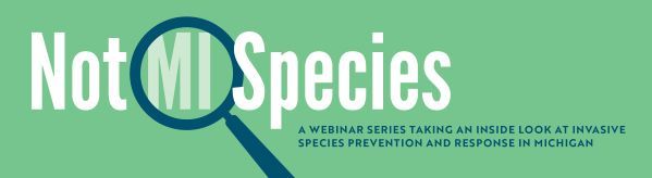Banner image of "Not Mi Species" webinars with green background and magnifying glass graphic