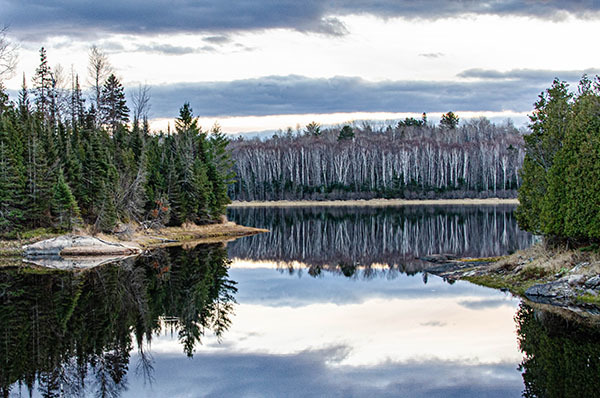 An evening vista shows a still lake surface with pine, cedar and birch trees on the shorelines.