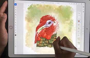 Shennelle Anthony is shown working on a computer drawing of a wild turkey.