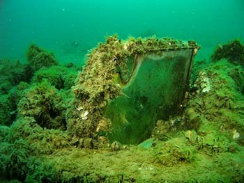 The bulletproof windshield of Lt. Moody's plane is shown on the bottom of Lake Huron, covered with plant growth.