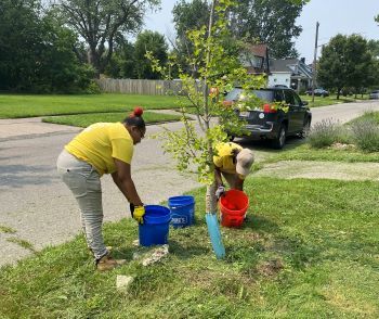 Workers from The Greening of Detroit water recently planted city trees this summer to help them thrive. 