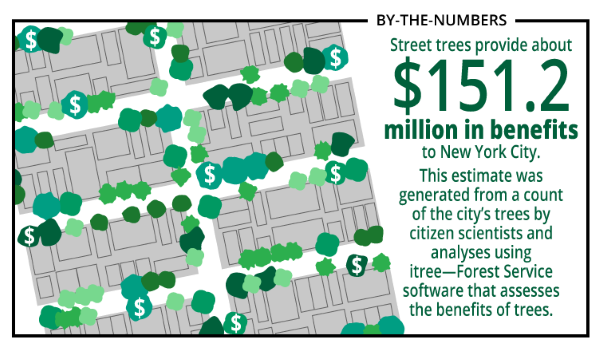 Infographic showing tree and street graphic with information on the $151.2 million in benefits they provide