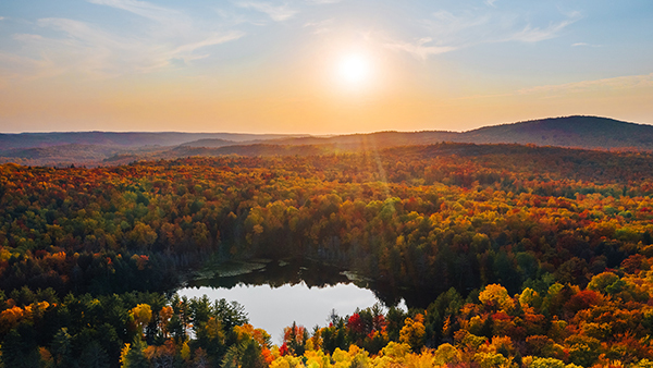 aerial view of trees with fall colors, lake and sunrise