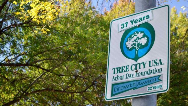 Tree City USA street sign celebrating a growth award with leafy foliage in the background