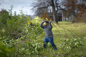 A volunteer works on a lands clean-up project, moving brush.