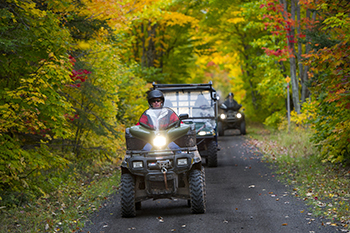 A group of off-road vehicle riders ride toward the camera along a dirt trail through a forest.