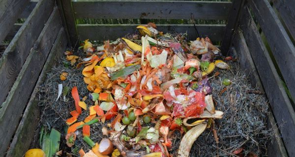 A photo of banana peels and other organics in a wooden compost bin