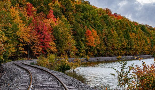 Railroad tracks in the foreground disappear into a forest of fall colors, bordered by a blue lake