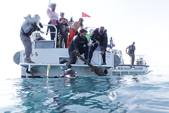 A machine gun from the crashed Airacobra is brought to the surface where people wait on a boat.