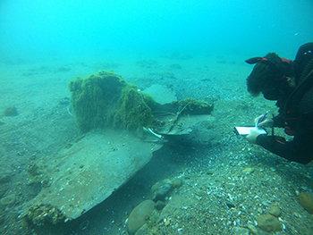 A diver is shown at the wreckage of the Airacobra on the bottom of Lake Huron.