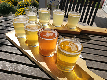 Glasses of hard cider are shown, one of many products produced with the help of trees.