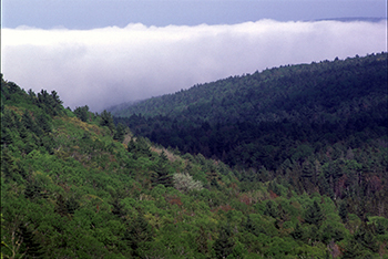 forested hills on Keweenaw Peninsula