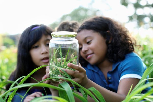 Two young girls peer at a jar full of items from nature, surrounded by tall grass