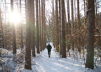 woman walking through snowy woods