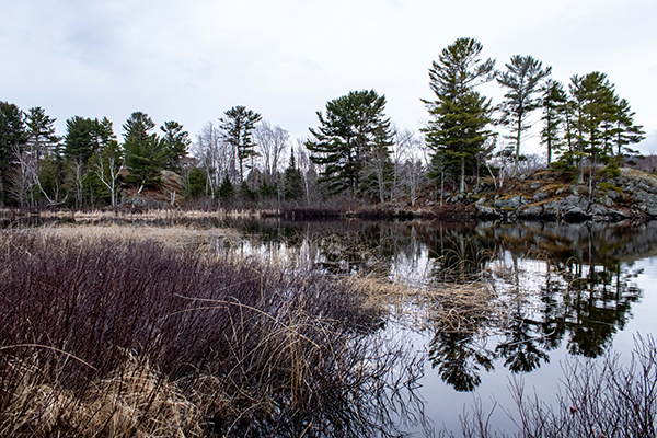 A quiet scene, with still water, is shown from the Upper Peninsula.