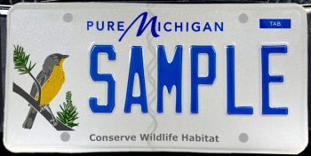 Kirtland's warbler license plate